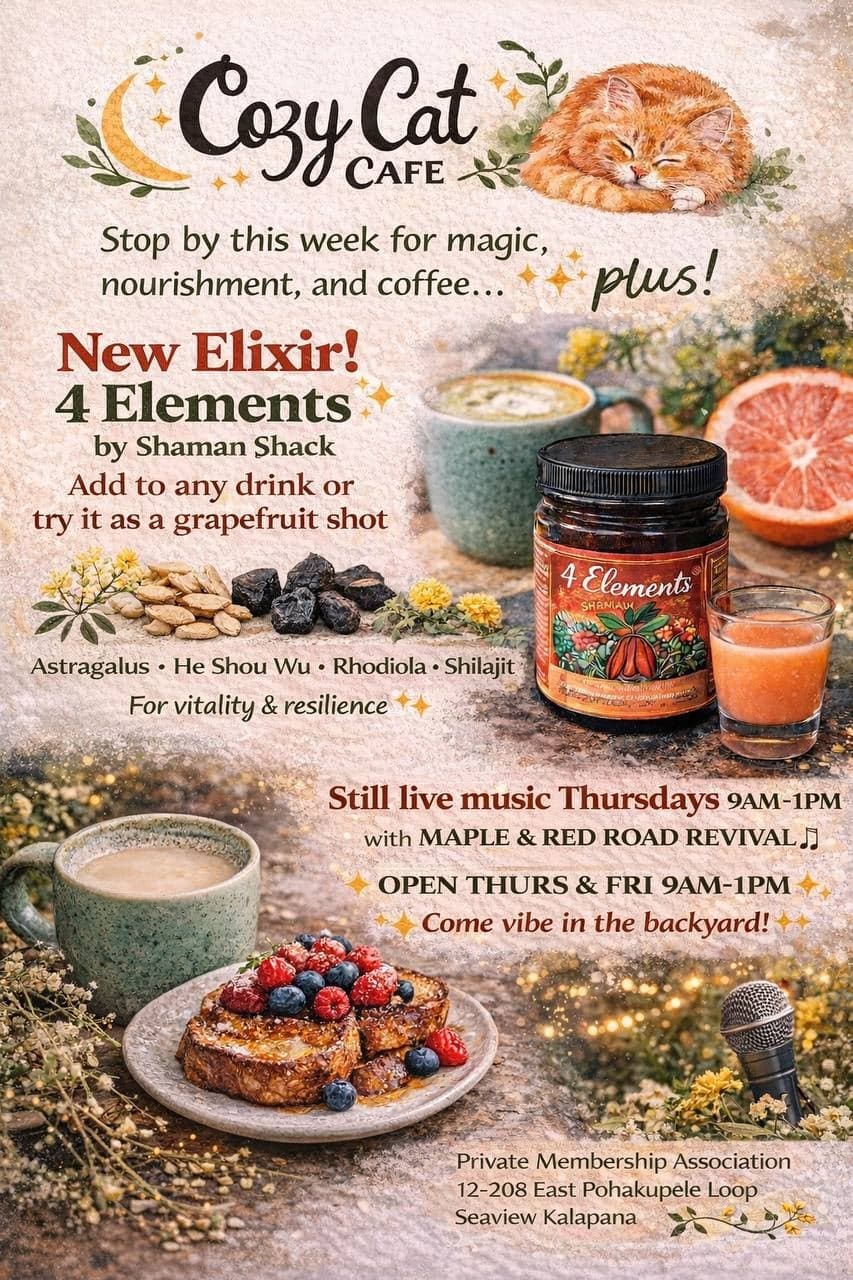 Live Music Thursdays at Cozy Cat Cafe