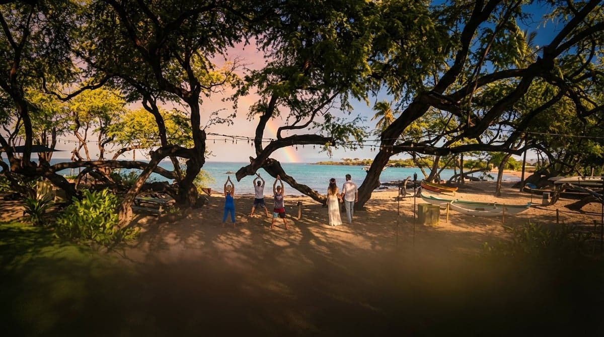 Explore 11 Big Island Workshops This Week (Feb 23–Mar 2)